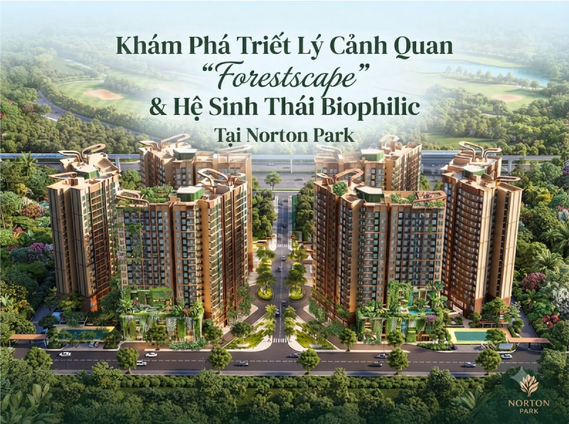 Khám Phá Triết Lý Cảnh Quan "Forestscape"